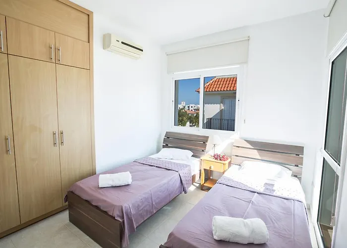 Halle 普罗塔拉斯